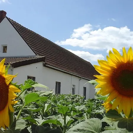 Prázdninový dům Renovee Avec Terrasse Et Jardin - Fr-1-489-363 *