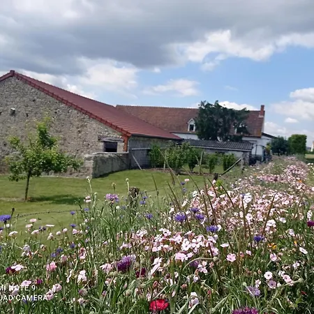 Charmante Maison à Avec Jardin Privé - Fr-1-489-363 Taxat-Senat