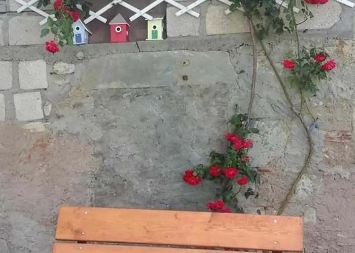 Feriehus Renovee Avec Terrasse Et Jardin - Fr-1-489-363 *