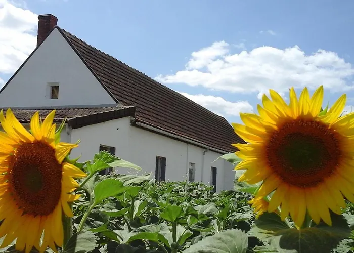 Feriehus Renovee Avec Terrasse Et Jardin - Fr-1-489-363 *