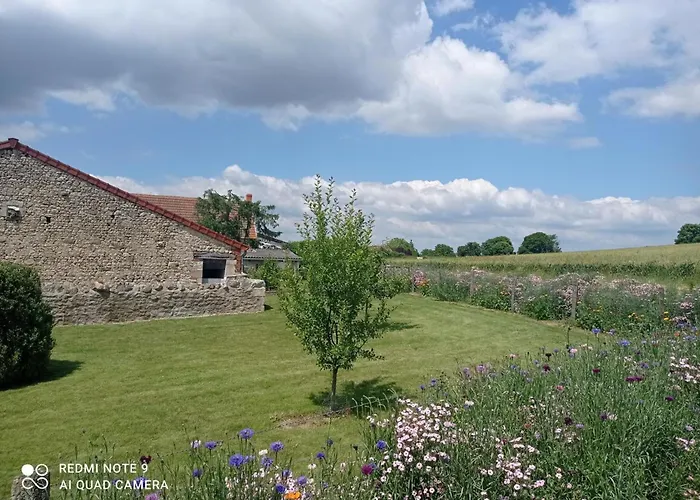 Renovee Avec Terrasse Et Jardin - Fr-1-489-363 Feriehus Taxat-Senat