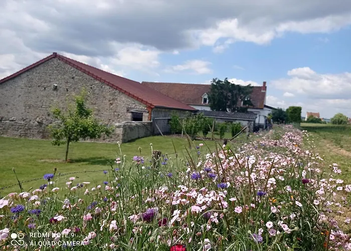 Renovee Avec Terrasse Et Jardin - Fr-1-489-363 Taxat-Senat