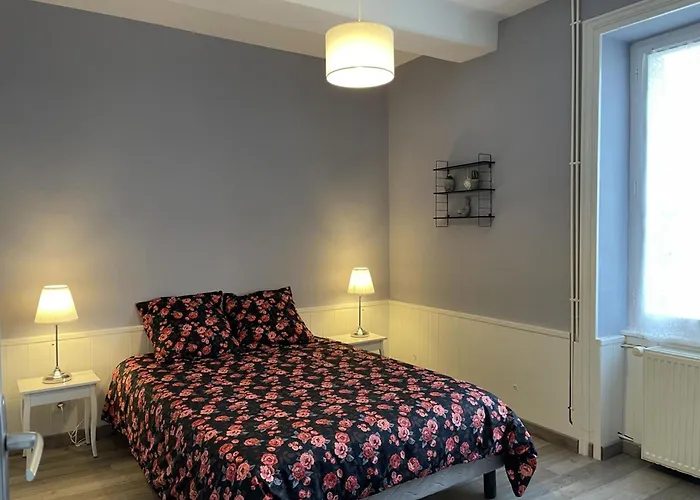 Renovee Avec Terrasse Et Jardin - Fr-1-489-363 * Taxat-Senat