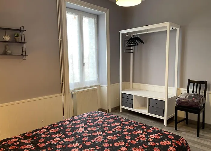 Renovee Avec Terrasse Et Jardin - Fr-1-489-363 * Taxat-Senat